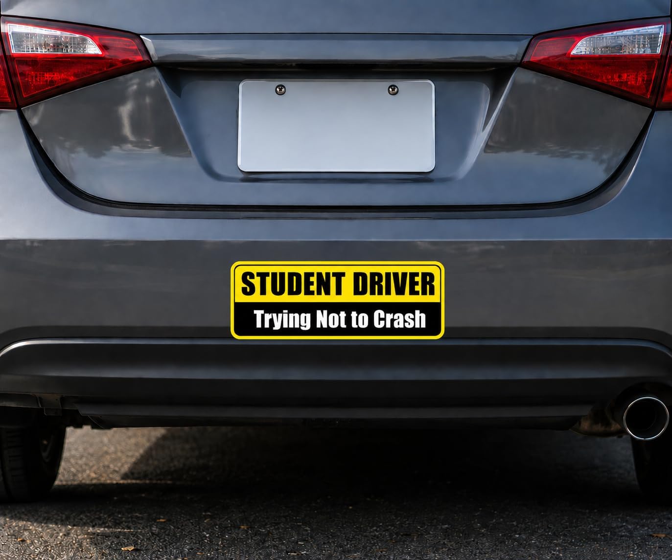 2-Pack New Student Driver Apologies Trying Not to Crash Safety Warning Vinyl Bumper Sticker 6" in Width