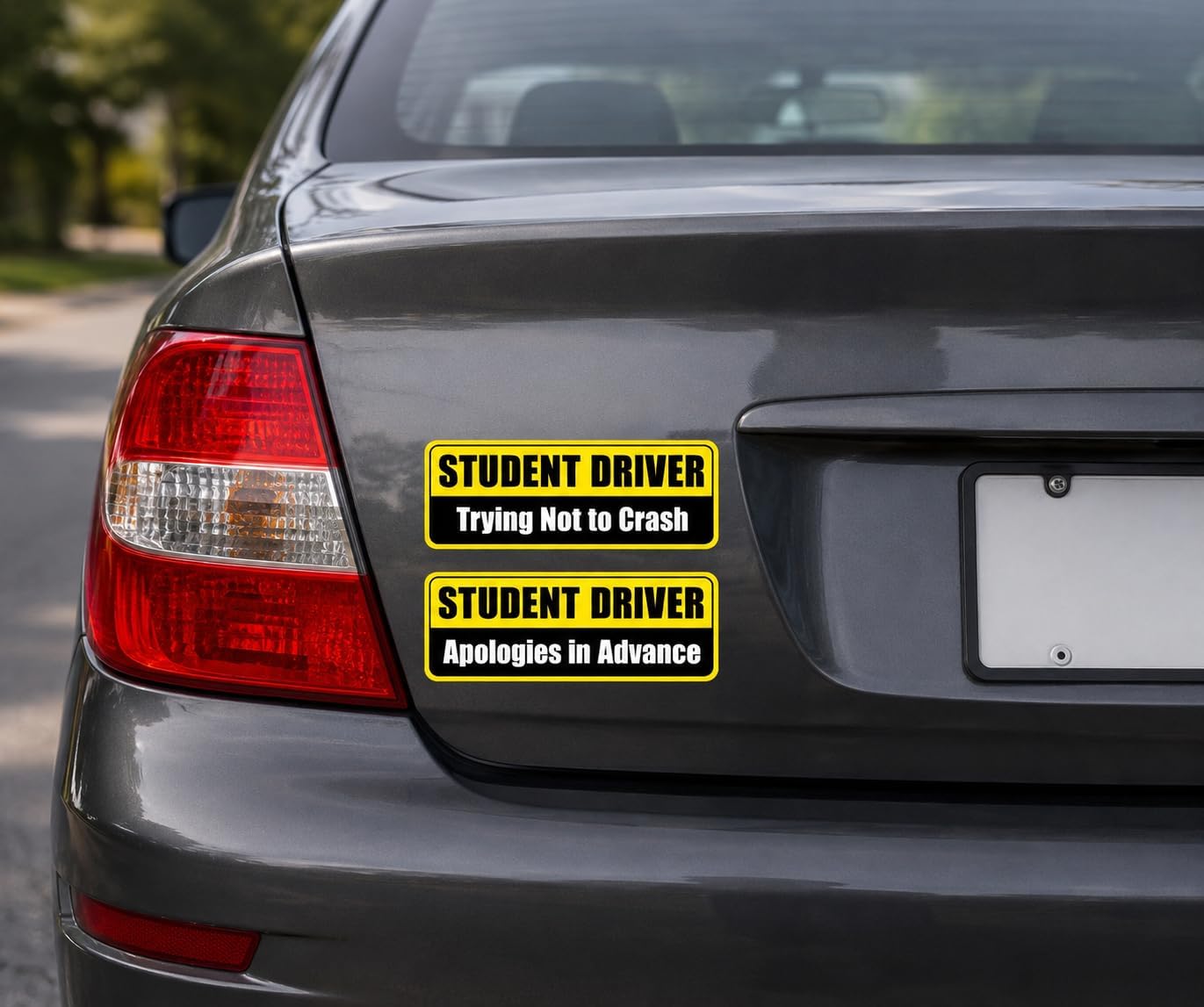 2-Pack New Student Driver Apologies Trying Not to Crash Safety Warning Vinyl Bumper Sticker 6" in Width