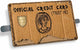 Funny American Credit Card Adhesive Vinyl Skin (Small Window)