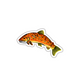 ORANGE FISH STICKER