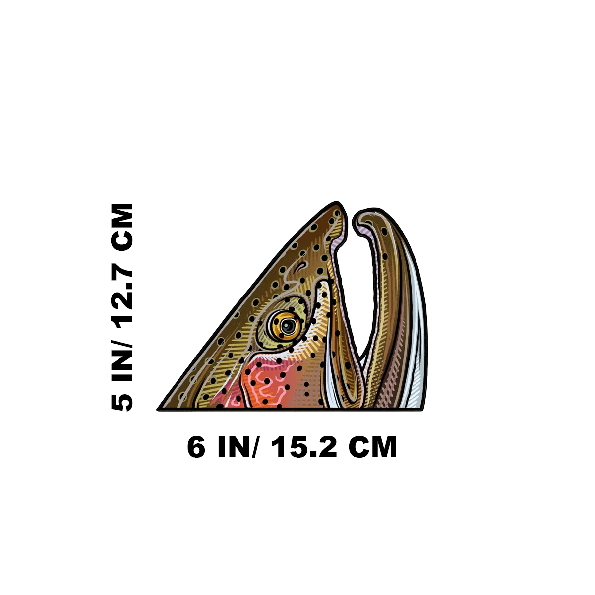 Zoom