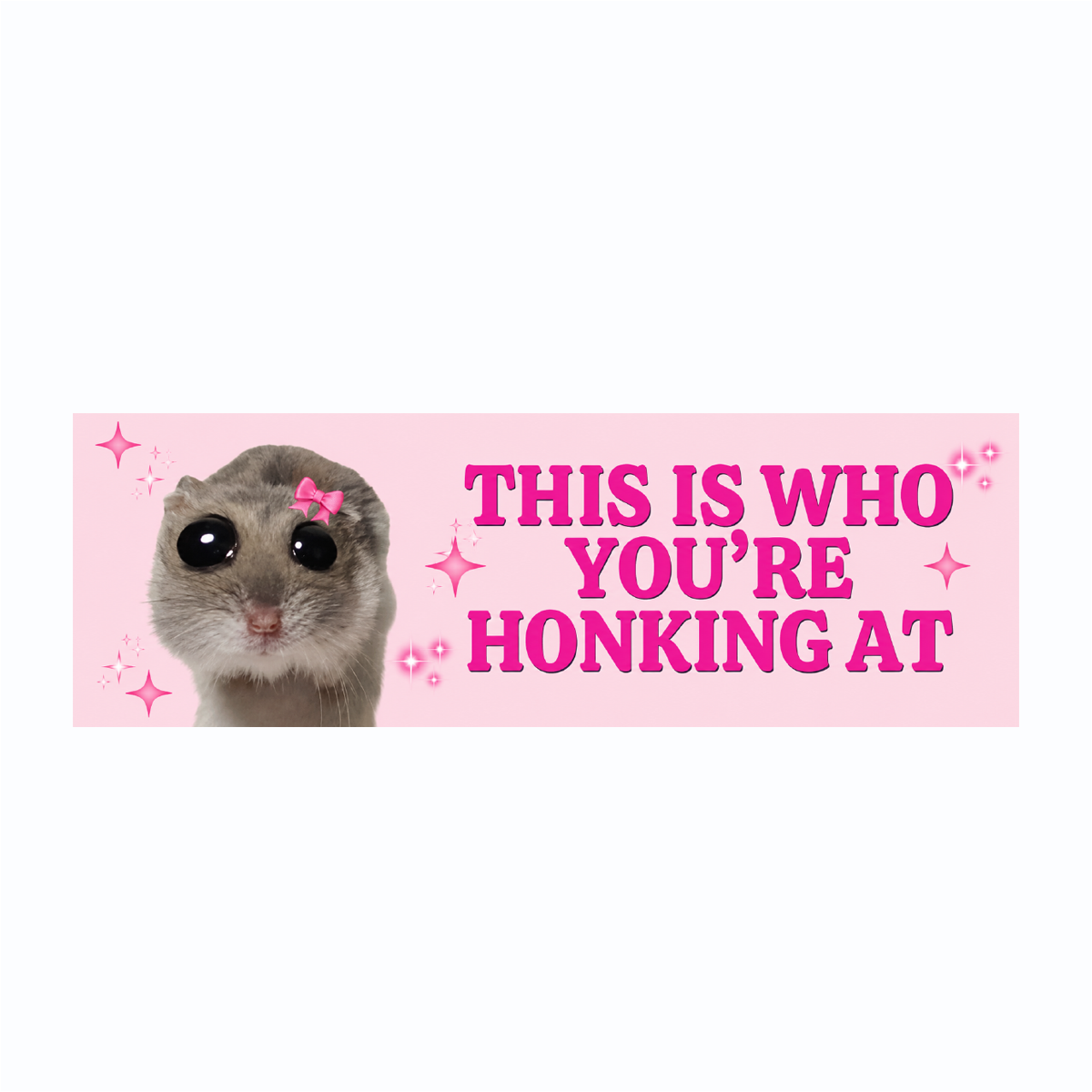 Funny Driving Bumper Colorful Weather and Water Resistant Vinyl Sticker 10" in Width