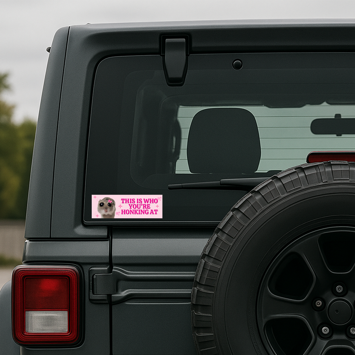 Funny Driving Bumper Colorful Weather and Water Resistant Vinyl Sticker 10" in Width