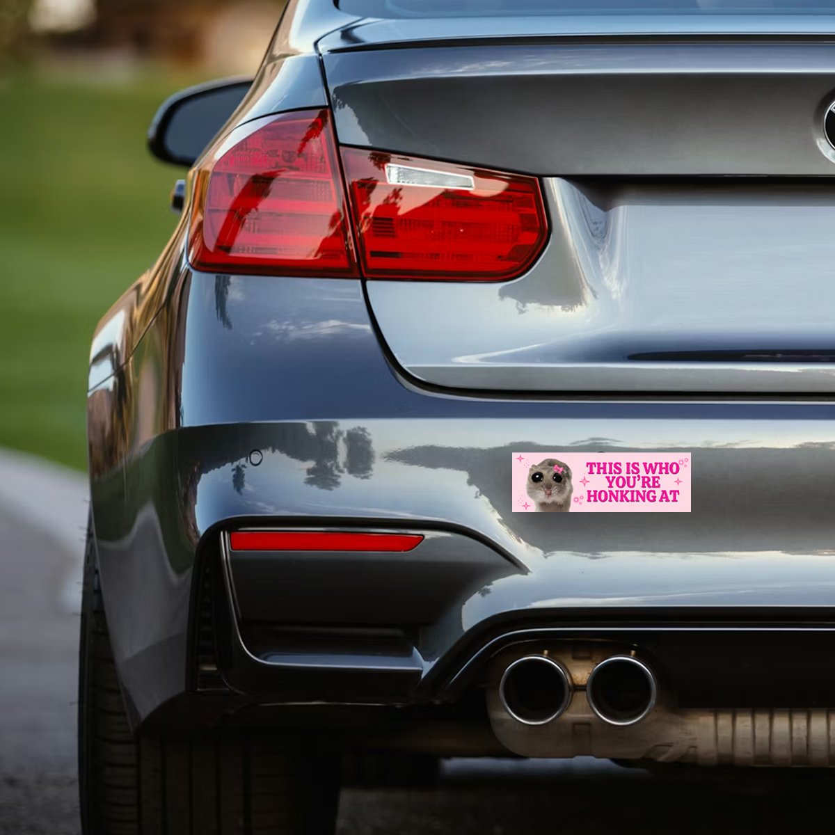 Funny Driving Bumper Colorful Weather and Water Resistant Vinyl Sticker 10" in Width