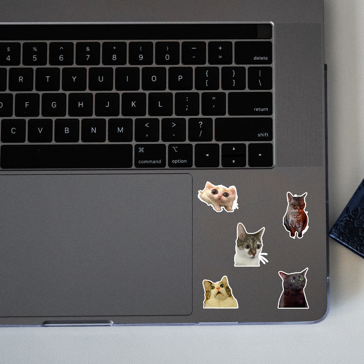 3-Pack Funny Cats Meme Vinyl Stickers