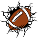 FOOTBALL FUNNY sticker