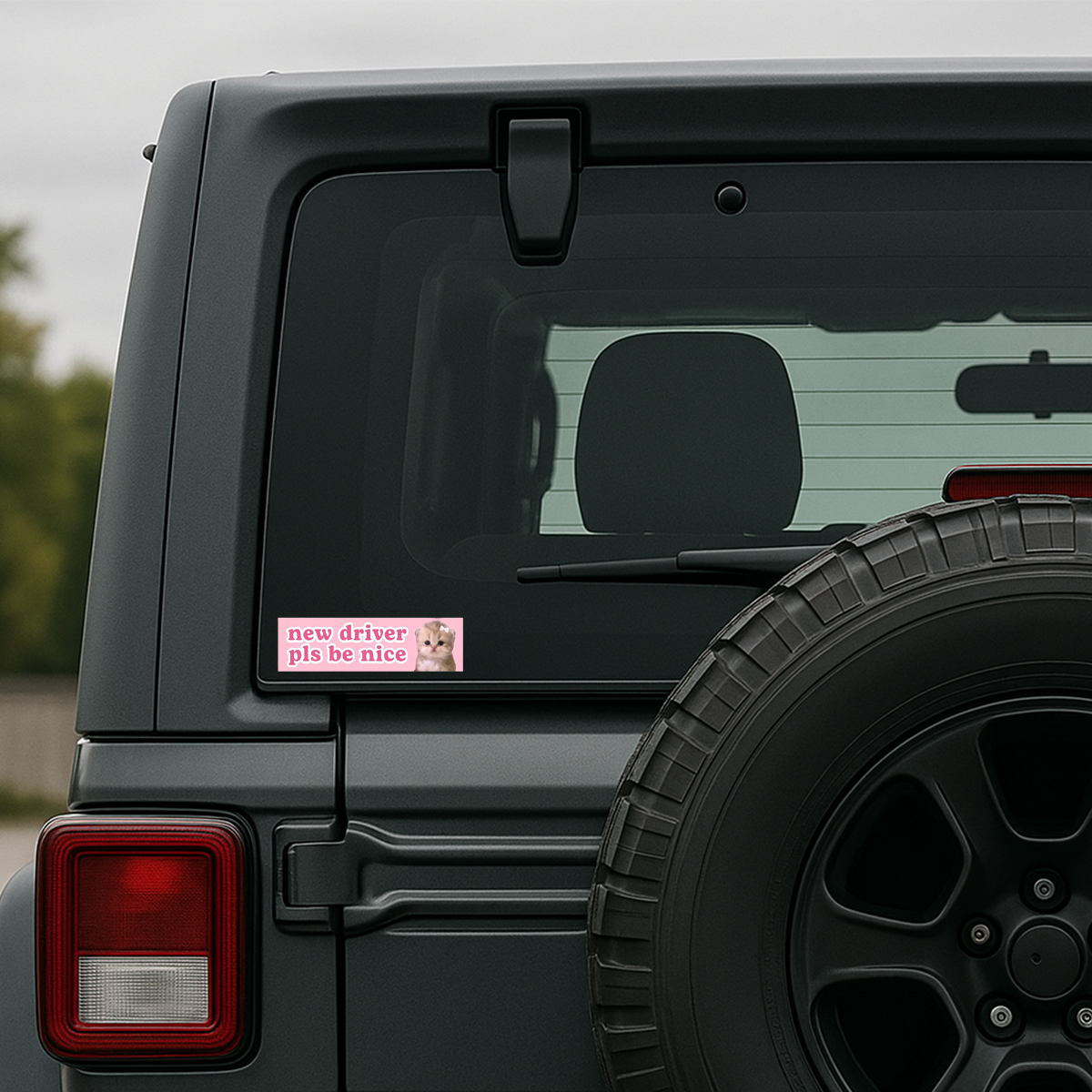 Funny Driving Bumper Colorful Weather and Water Resistant Vinyl Sticker 10" in Width