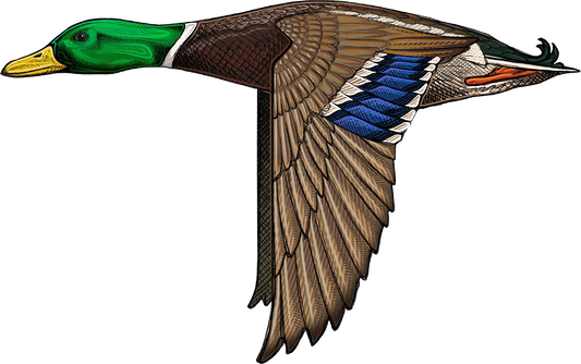Mallard duck STICKER
