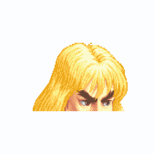 Ken Right Street Fighter 2 - Officially Licensed