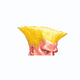 Guile Right Street Fighter 2 - Officially Licensed