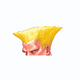 Guile Left Street Fighter 2 - Officially Licensed