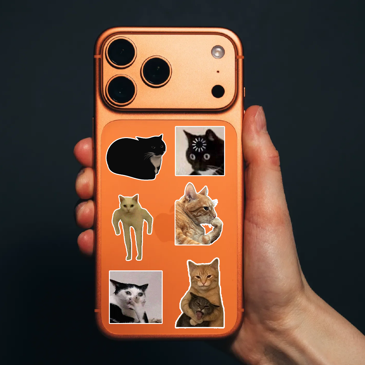 3-Pack Funny Cats Meme Vinyl Stickers