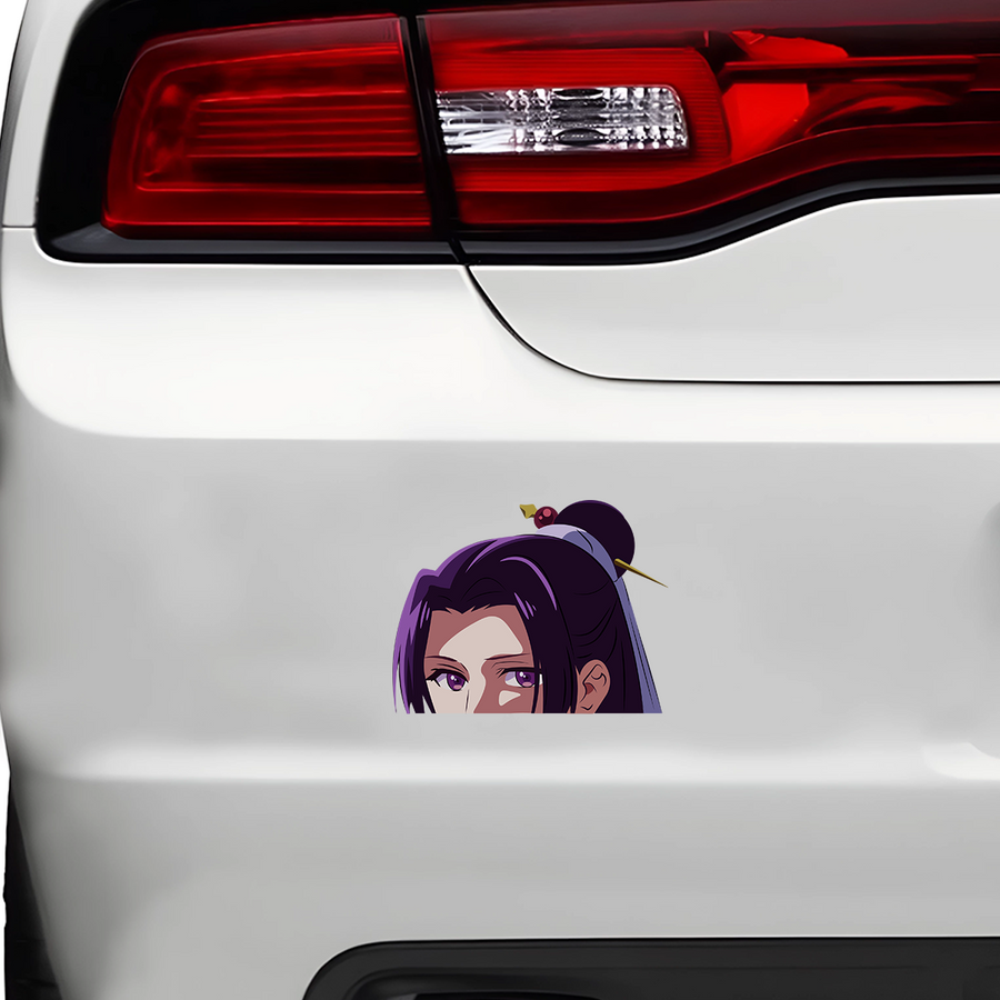 Jinshi Peeker Sticker