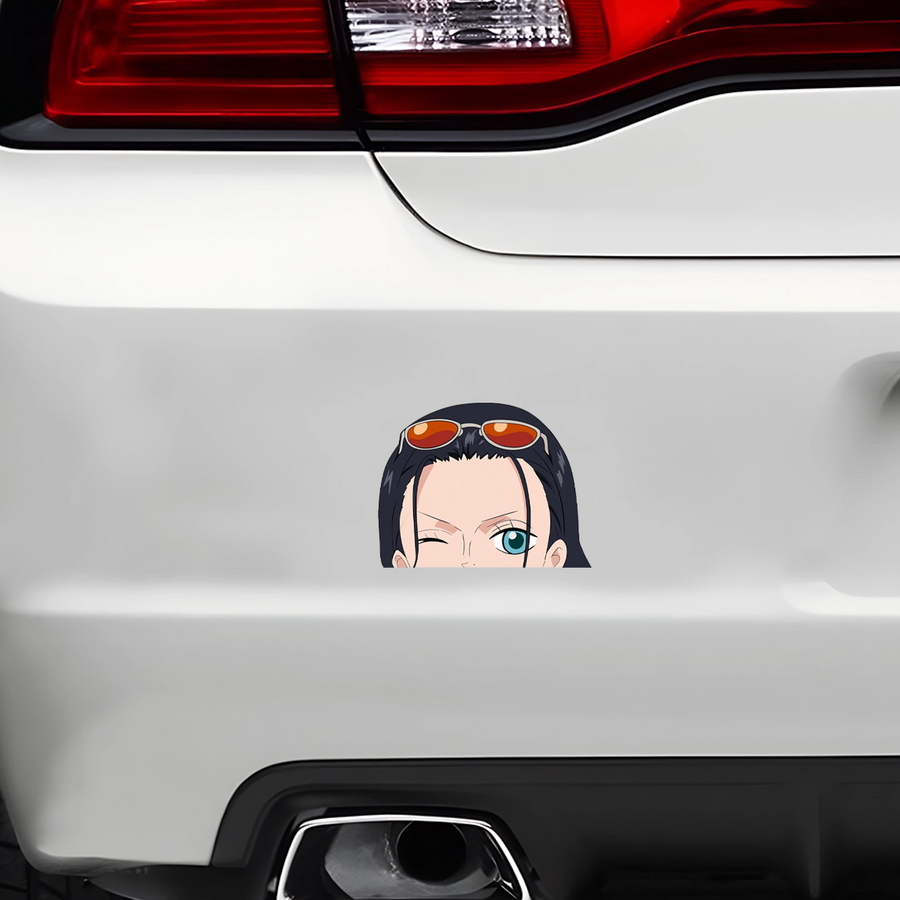 Robin Sticker