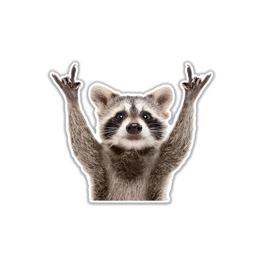 RACOON FUNNY STICKER