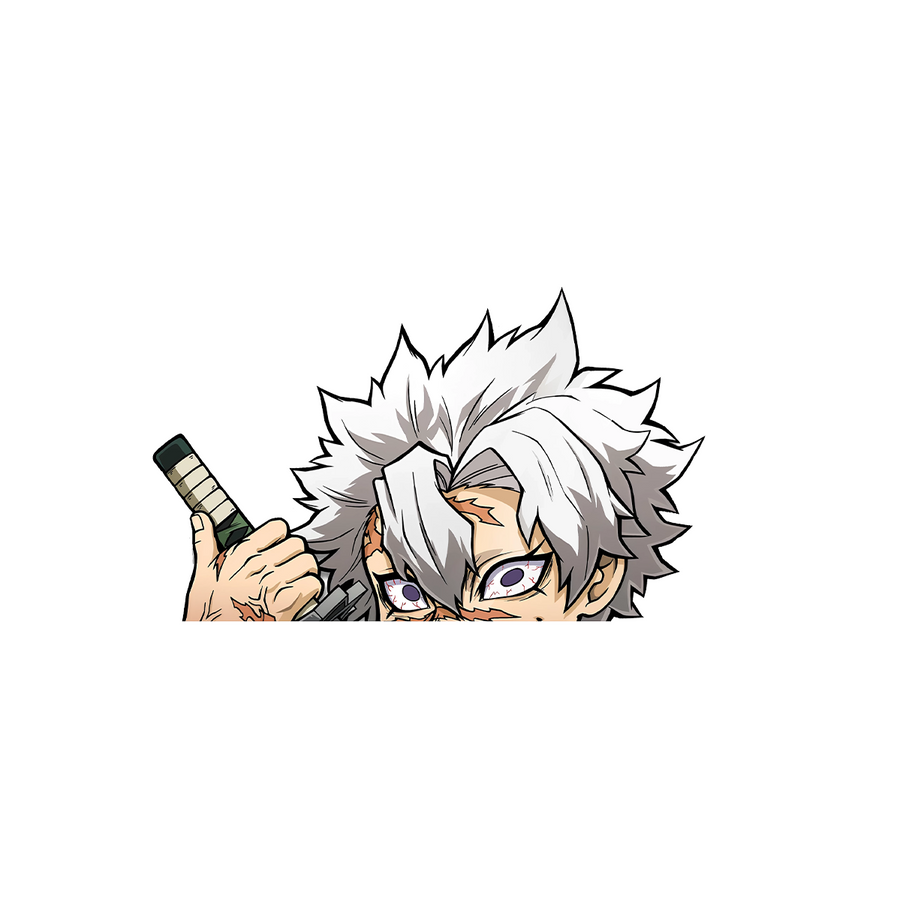 Senemi Sticker