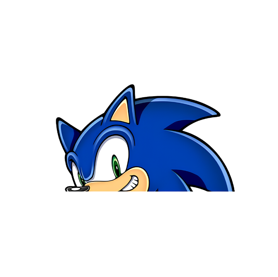 Sonic Sticker