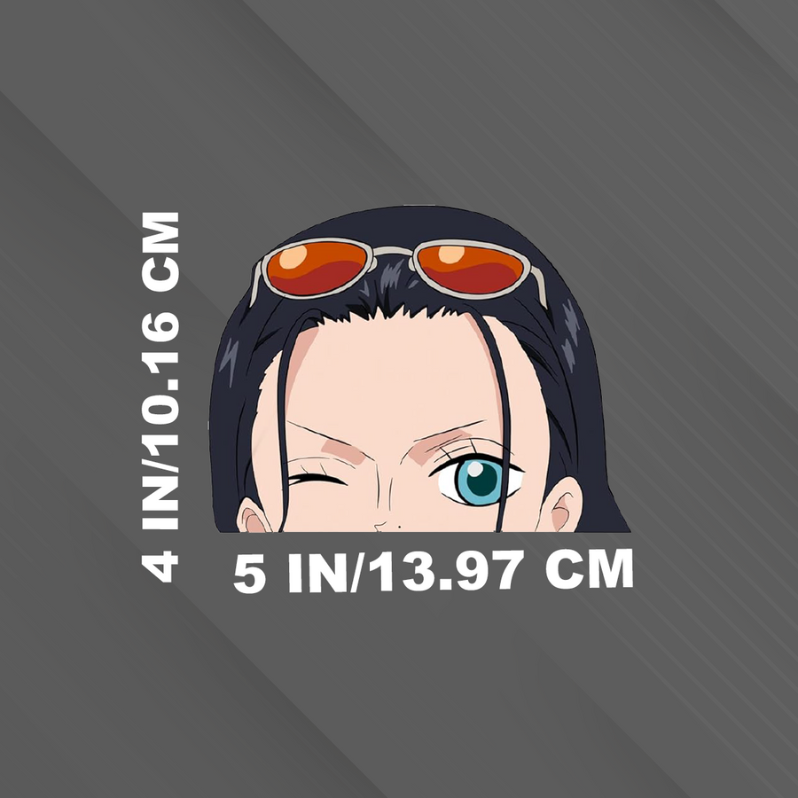 Robin Sticker