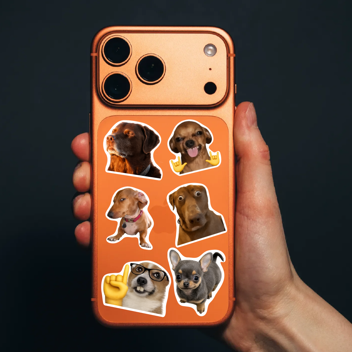 3-Pack Funny Meme Vinyl Stickers